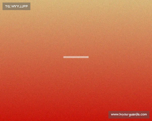 马尔蒂尼自谦脚下灵活但认为马拉多纳更出色