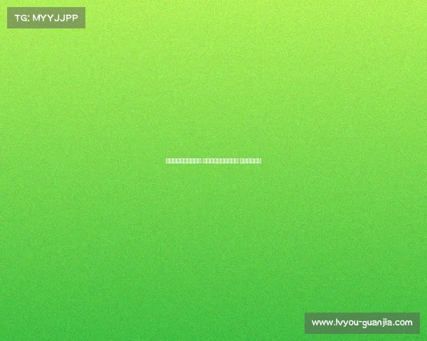 欧冠老将再度披上战袍 助力球队冲击巅峰荣耀 书写传奇篇章